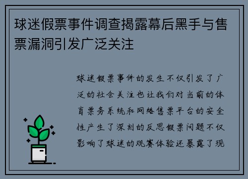 球迷假票事件调查揭露幕后黑手与售票漏洞引发广泛关注 球迷假票事件调查揭露幕后黑手与售票漏洞引发广泛关注