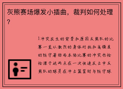 灰熊赛场爆发小插曲，裁判如何处理？
